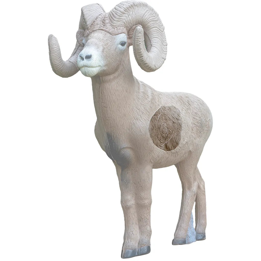 Rinehart 1/2 Scale Bighorn Ram Insert