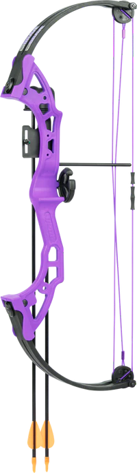BEAR BRAVE PURPLE