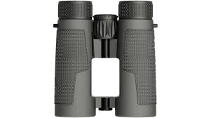 BX-4 Pro Guide HD 10x42mm