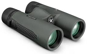 Triumph® HD 10x42