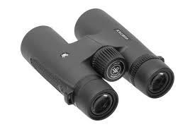Triumph® HD 10x42