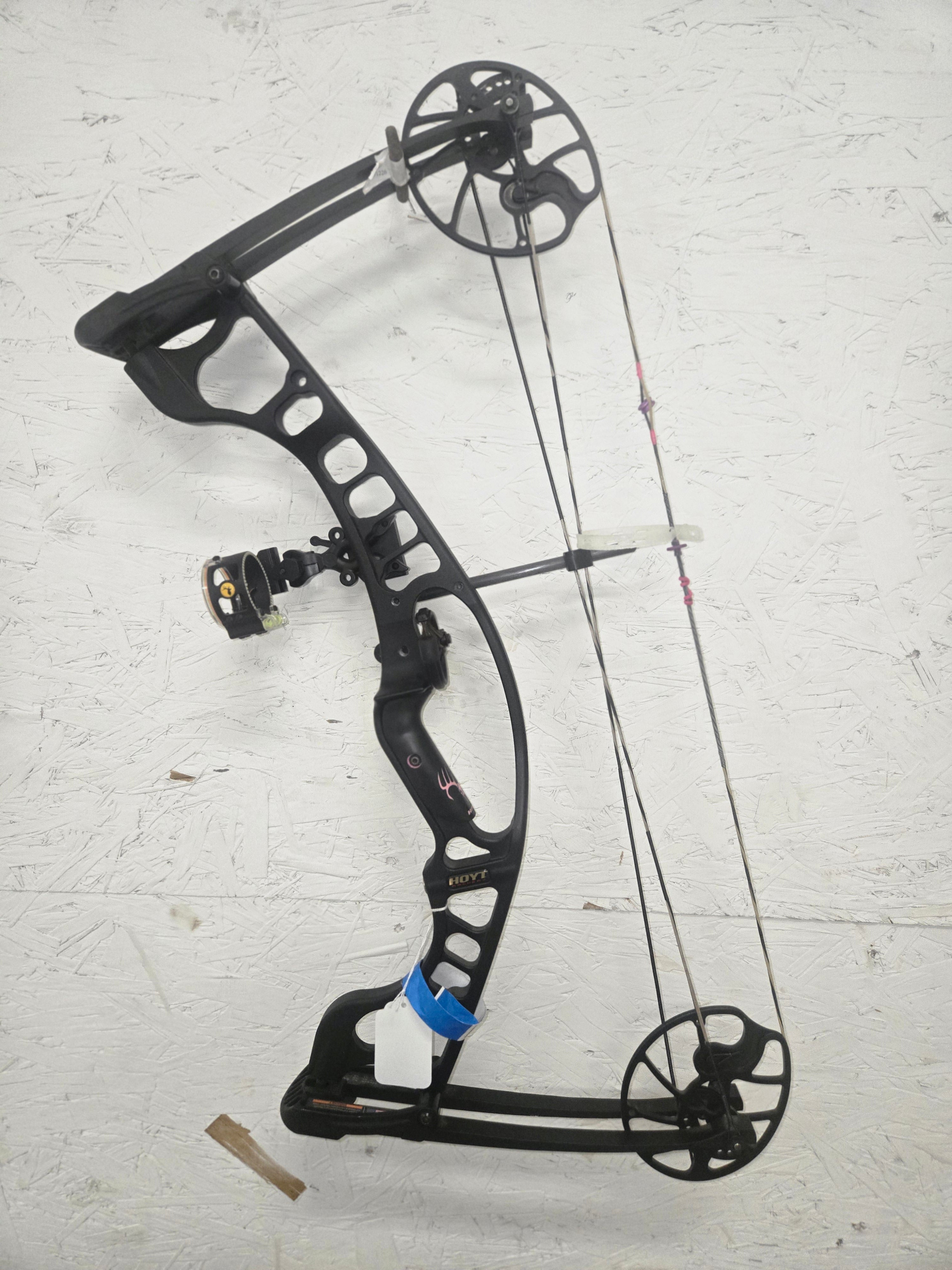 Used Hoyt Ignite 70#