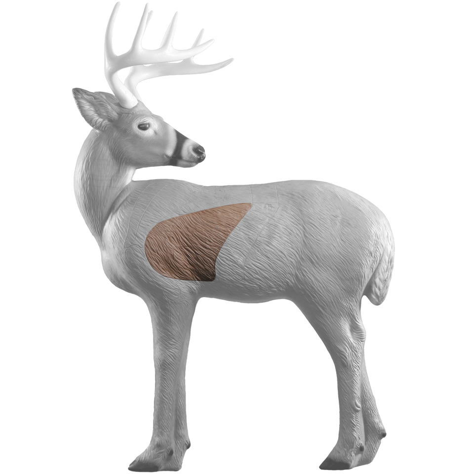 Rinehart Bowhunter Buck Insert
