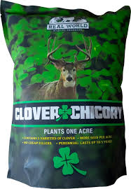 RWWP Clover & Chicory Blend 10#