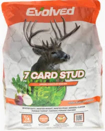 7 Card Stud
