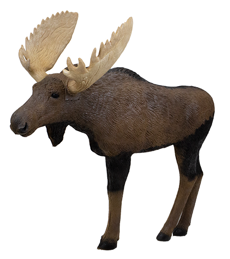 Rinehart Signature 1/3 Scale Moose