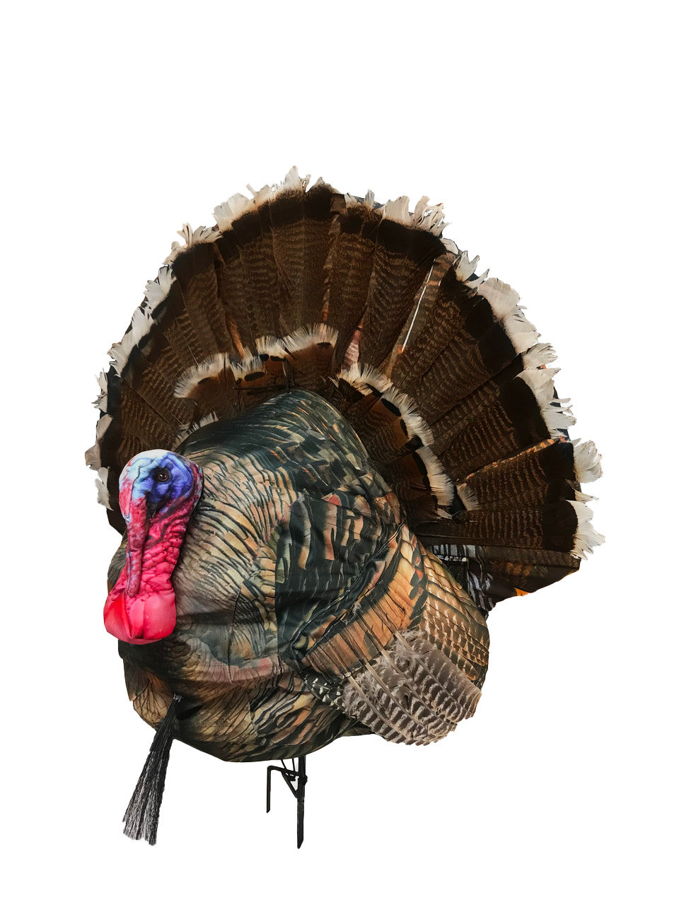 Montana Decoy Co Wiley Tom 3D